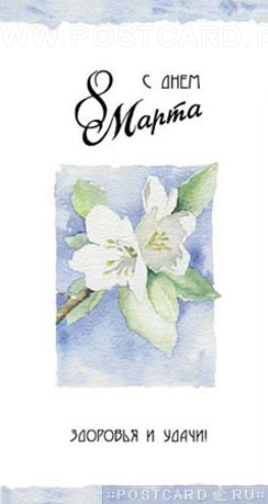 � ���� �������� �����!