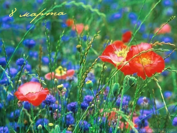 � 8 �����!