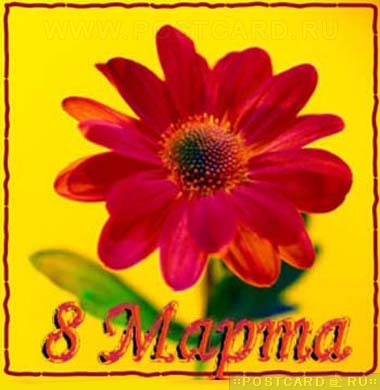 � 8 �����!