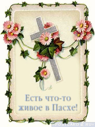 ���� ���-��...